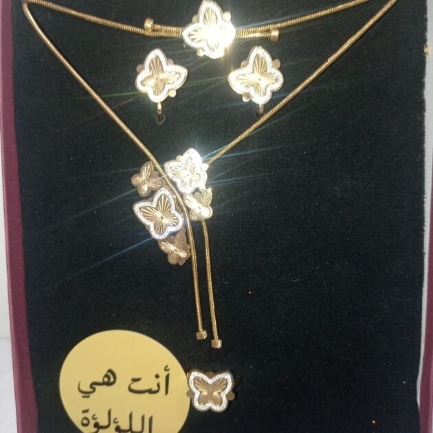✨✨طقم الفراشات🦋🦋🎀 4 بياس